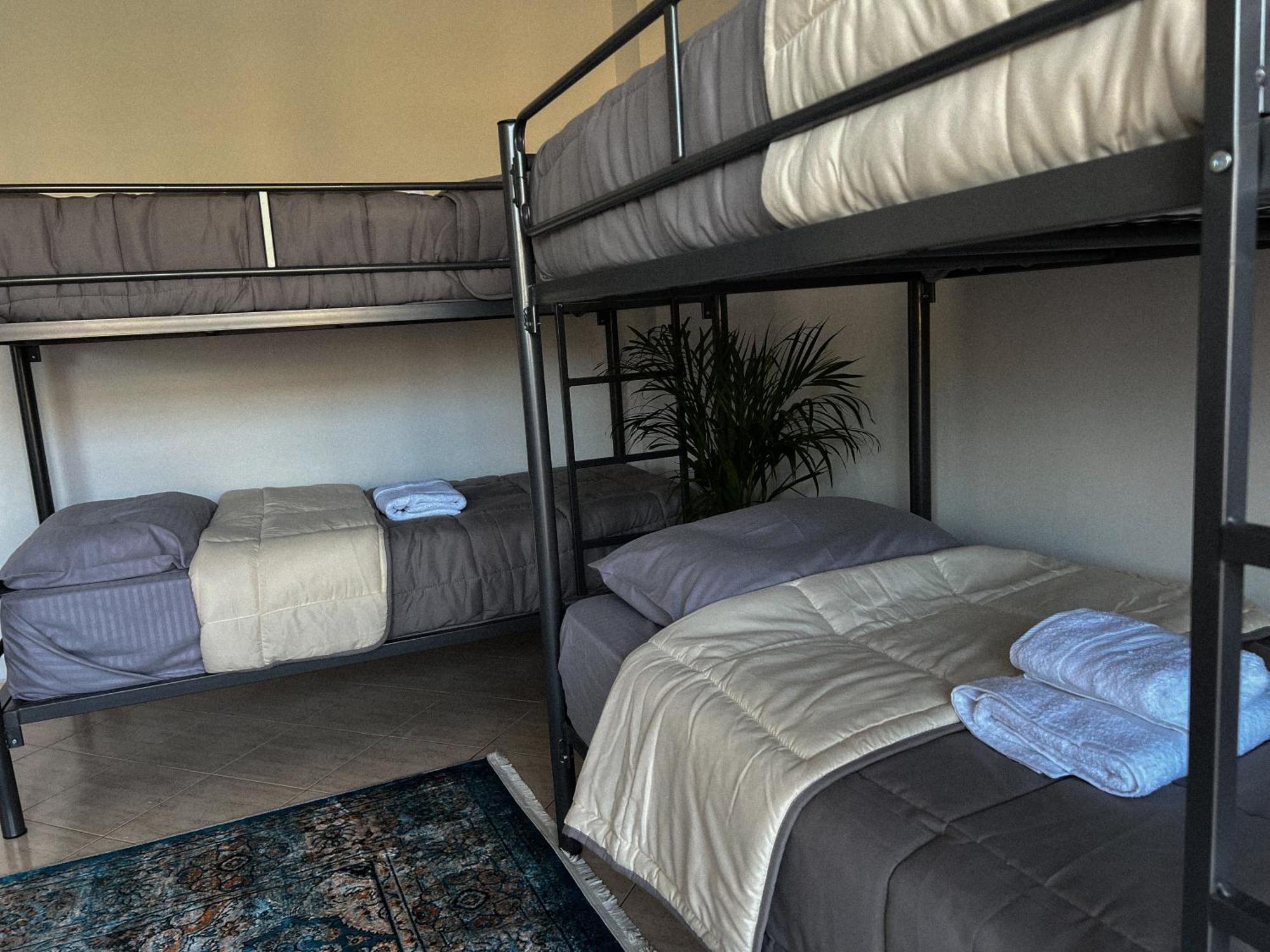 Hostel By Fenix טיראנה מראה חיצוני תמונה