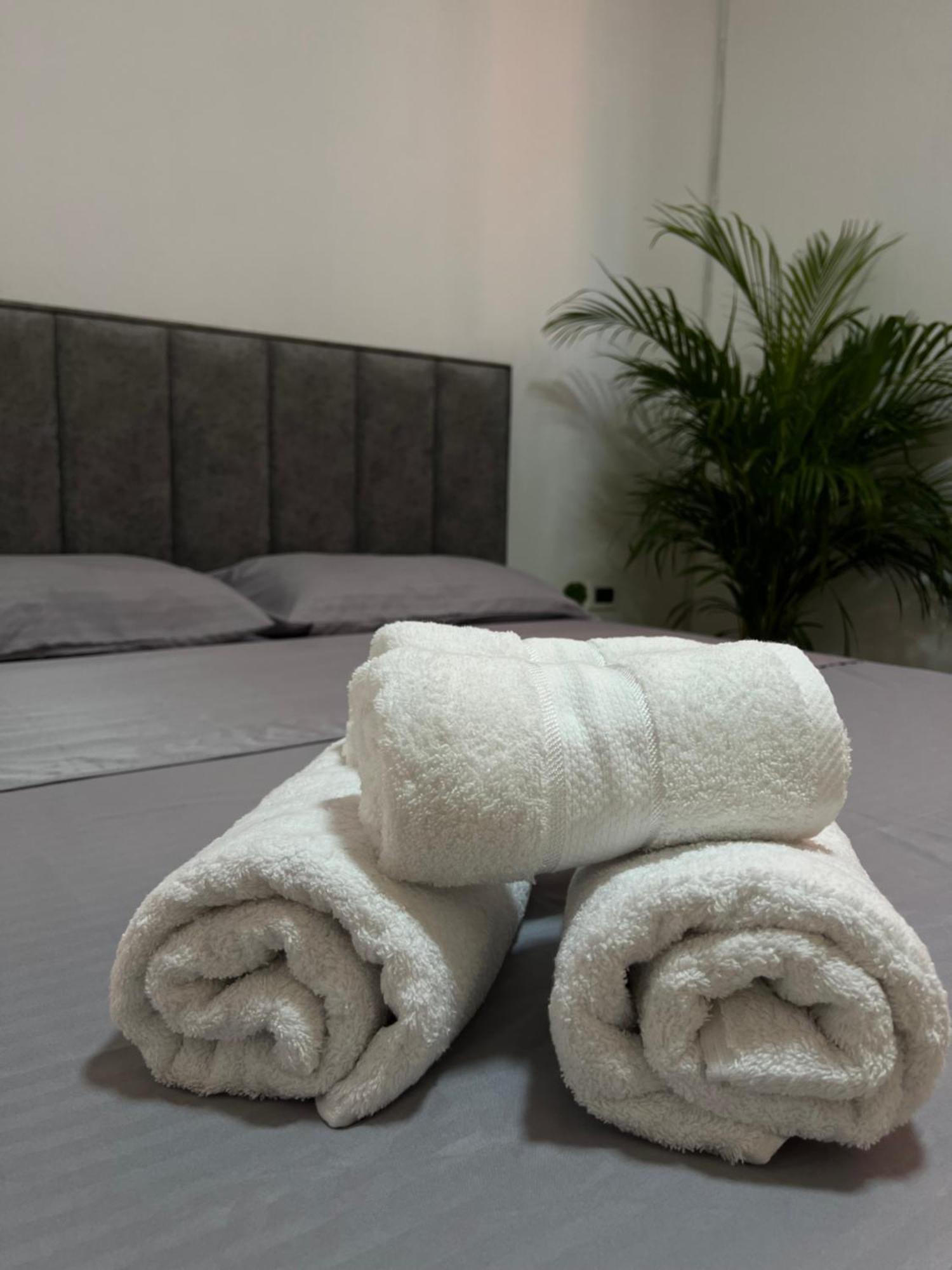 Hostel By Fenix טיראנה מראה חיצוני תמונה