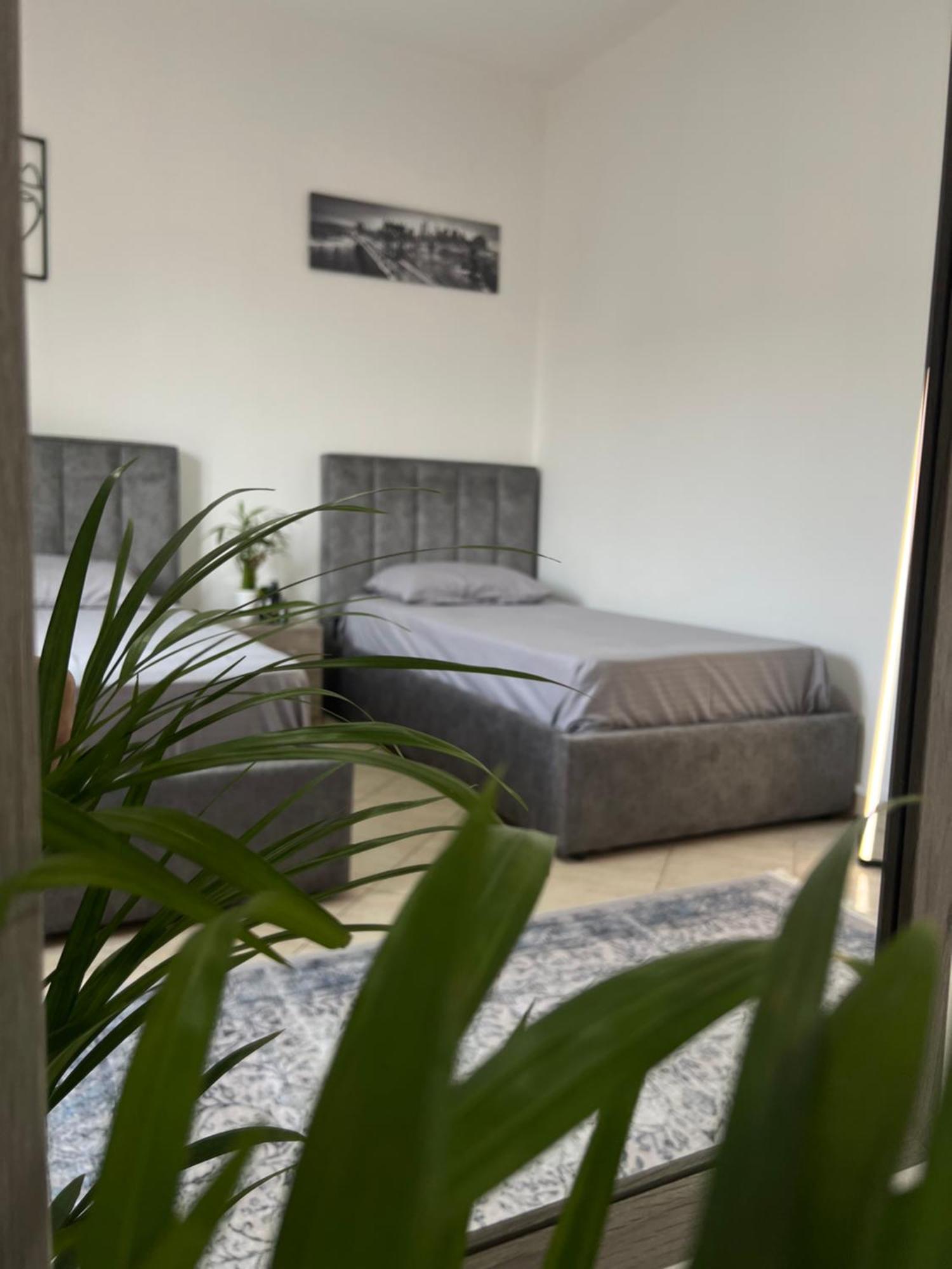 Hostel By Fenix טיראנה מראה חיצוני תמונה