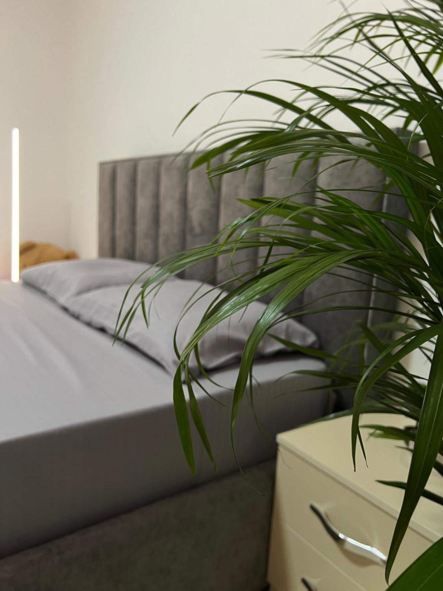 Hostel By Fenix טיראנה מראה חיצוני תמונה